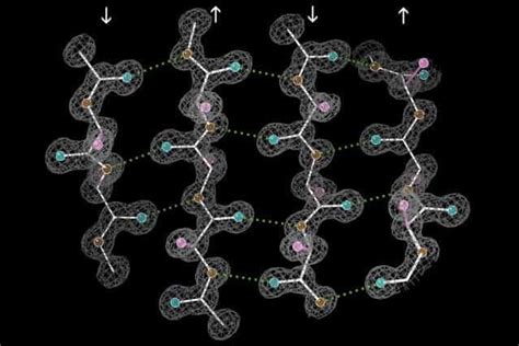 Analyzing protein structures in their native environment - ScienceBlog.com