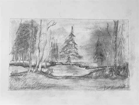 Forest Pencil Drawing