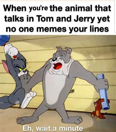 160+ Funny Tom And Jerry Memes To Keep You Laughing – FandomSpot