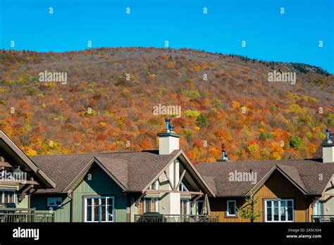 Fall colors in the mountains Stock Photo - Alamy