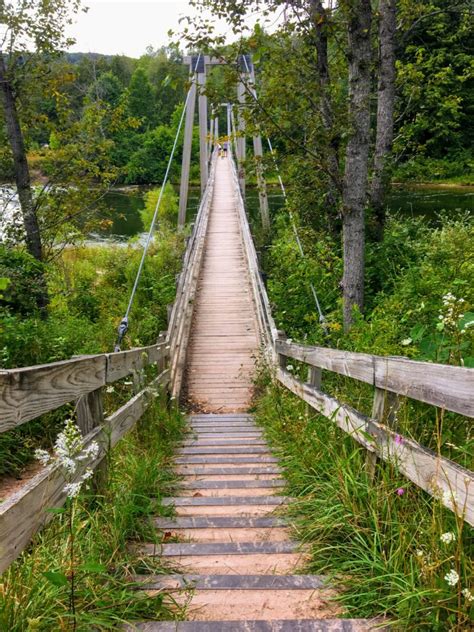 10 Things to Know Before Backpacking the Manistee River Trail | Bustlingabroad