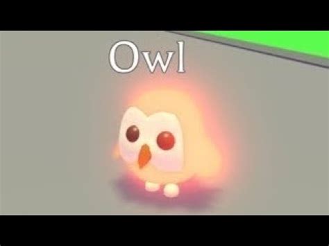 My offer for a Neon Owl! (Adopt Me) - YouTube