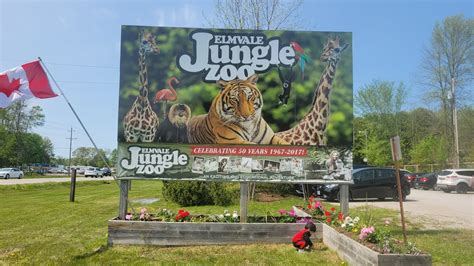 Elmvale Jungle Zoo - YouTube