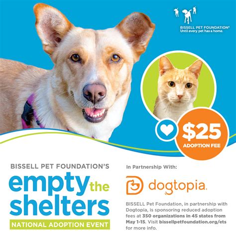 Austin Animal Center participates in "Empty the Shelters" event ...