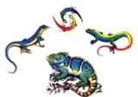 Lizard Tattoos Designs
