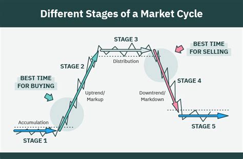 Market Cycles Explained (2023): Complete Investor's Guide