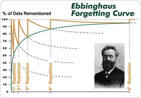 Ebbinghaus forgetting curve - the psychology of education, or why forgetting helps you learn ...