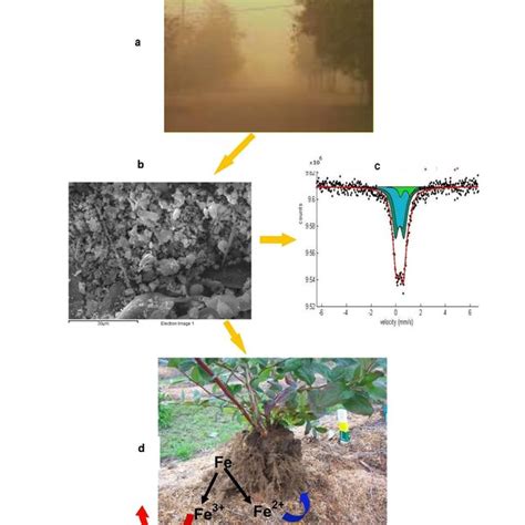 Figure shows: (a) Harmattan haze (b) SEM micrograph of Harmattan dust... | Download Scientific ...