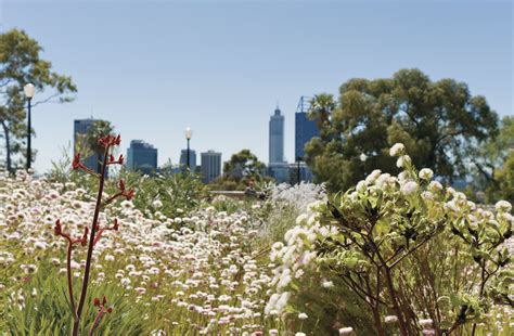 Australia's Most Wonderful Botanical Gardens