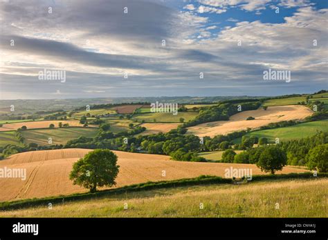 Beautiful rolling Devon countryside beneath a gorgeous sky, Raddon Hill, Devon, England. Summer ...