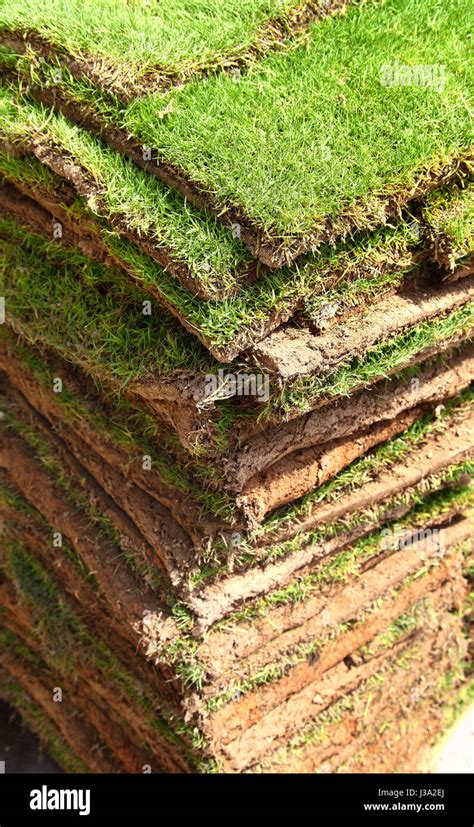 Grass Sod Squares Stock Photo - Alamy