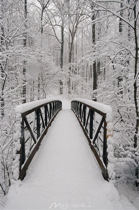 Snow-Covered Bridge | Winter scenery, Winter scenes, Winter pictures