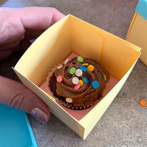 DIY Cupcake Gift Boxes - 100 Directions