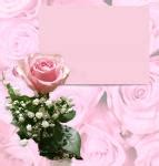 You Are Invited Wedding Free Stock Photo - Public Domain Pictures