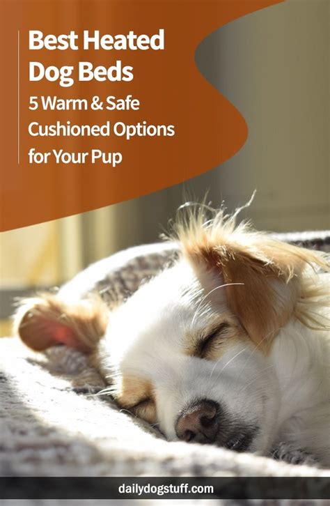 Best Heated Dog Beds – 5 Warm & Safe Cushioned Options for Your Pup ...