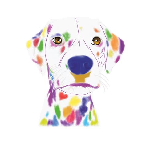 Dalmatian Portrait Drawing - Molly Drawing by Sue Ann Russo - Fine Art America