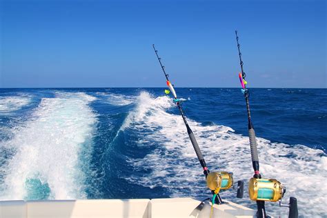 Everything You Need for a Successful Offshore Fishing Trip - Boca Grande Fishing Charters ...