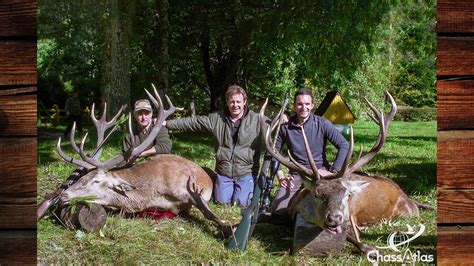 Chasse aux cerfs et élans au brame. Biélorussie - YouTube