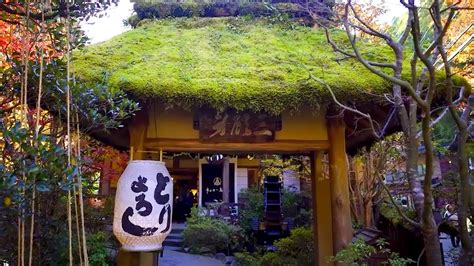 Must-try Beautiful Japanese restaurant with amazing huge garden. - YouTube