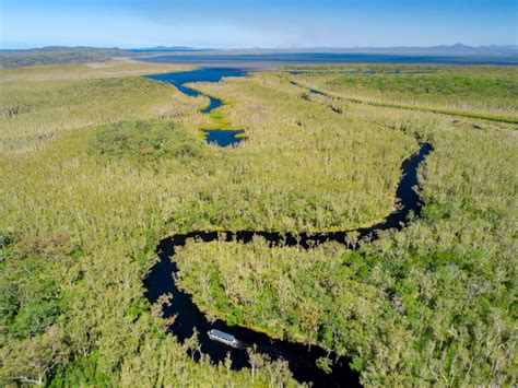 A Complete Guide To Visiting The Noosa Everglades