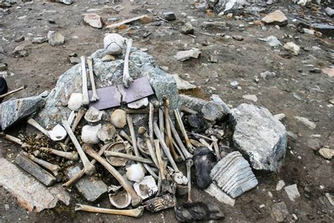 Death and Deception: The Unsolved Mystery of Roopkund's Skeleton Lake - History To Know