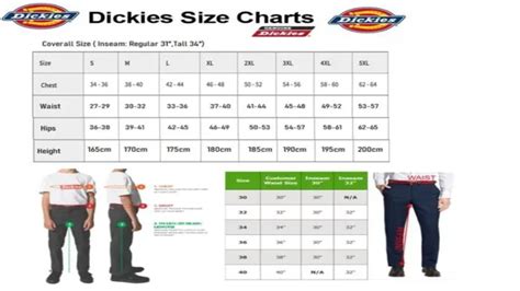 Dickies Pants Size Guide in Centimeters – SizeChartly