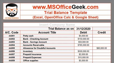 Ready-To-Use Trial Balance Template - MSOfficeGeek