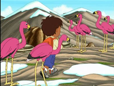 Go, Diego, Go! - A New Flamingo Mami - TheTVDB.com