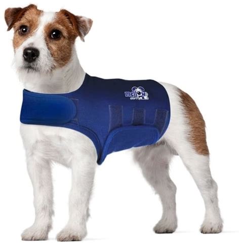 Best Anxiety Shirts & Vests For Dogs | Anxiety In Dogs