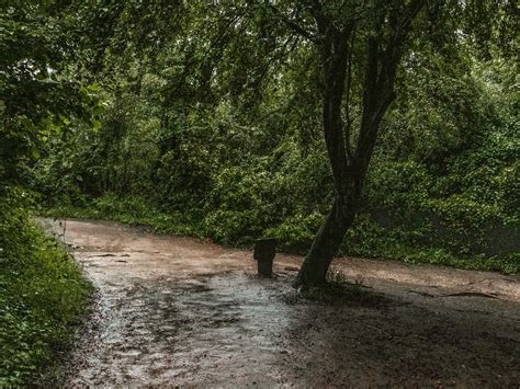 Box Hill Walk via The Stepping Stones: Ultimate Guide - She walks in ...