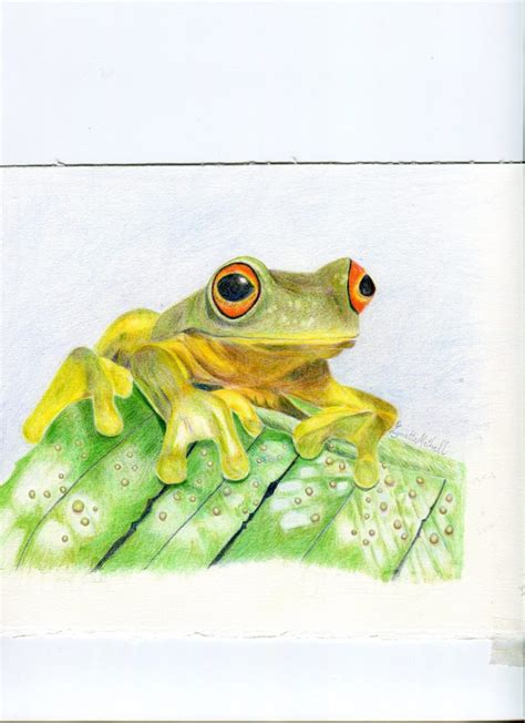 Pencil Frog Drawing