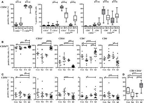 CD16 and CD6 expression on NK cells is influenced by different... | Download Scientific Diagram