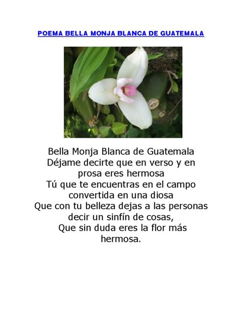 Poema Bella Monja Blanca de Guatemala