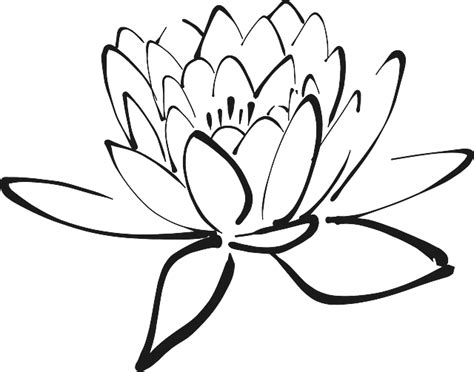 Tools – Chakra Lotus