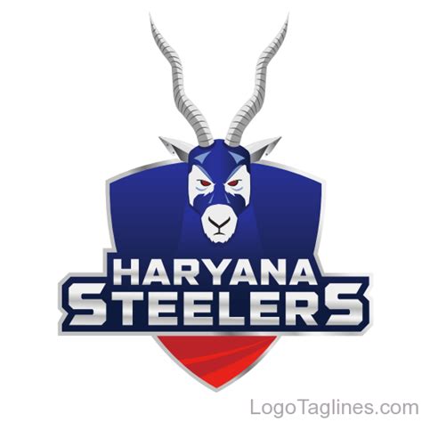 Haryana Steelers Slogan - Haryana Steelers Tagline - Logo -Owner