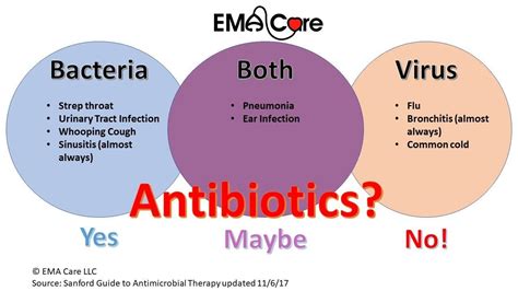 bacterial and viral infections - EMA Care - EMA Care