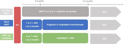 Frontiers | Short dual antiplatelet therapy and dual antiplatelet therapy de-escalation after ...