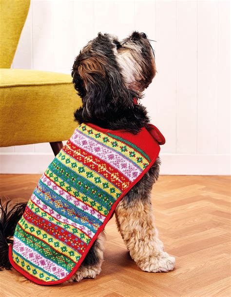 Fair Isle Dog Coat | Knitting Patterns | Let's Knit Magazine | Dog ...