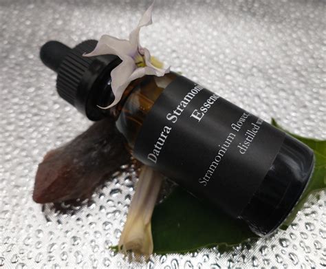 Datura Stramonium Flower Essence – The Jagged Path