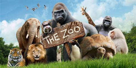 Outnumbered's Hugh Dennis will bring zoo animals to life in a new CBBC ...