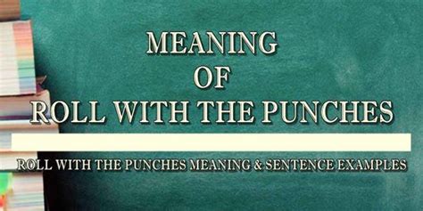 Roll With The Punches Meaning & Sentence Examples