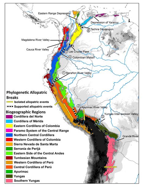 New Study Reveals How the Complex Biodiversity of the Tropical Andes Came to Be | Nicholas ...