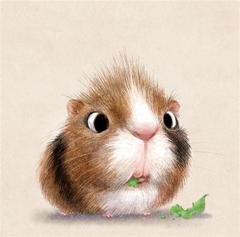 Cute Animal Illustration | Bored Panda