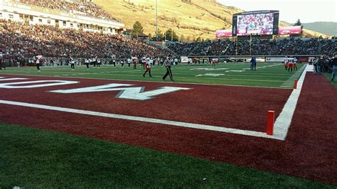 My First Professional Photo on Washington-Grizzly Stadium