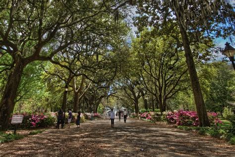 Forsyth Park in Savannah Georgia | I captured this picture o… | Flickr