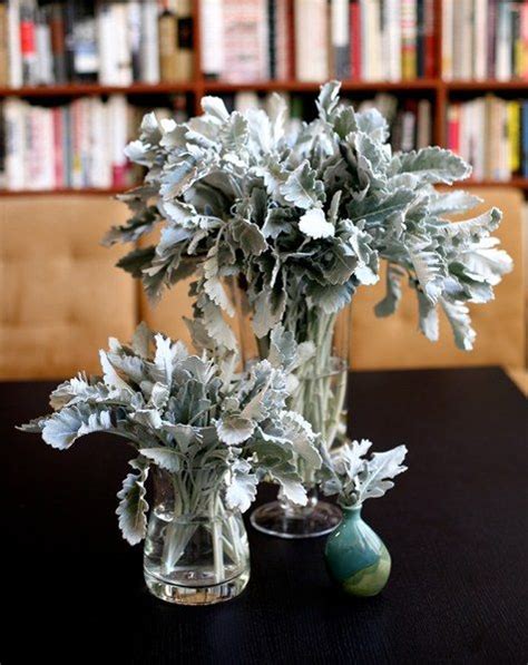 dusty5 | Design*Sponge | Dusty miller, Wedding flower arrangements, Flower arrangements