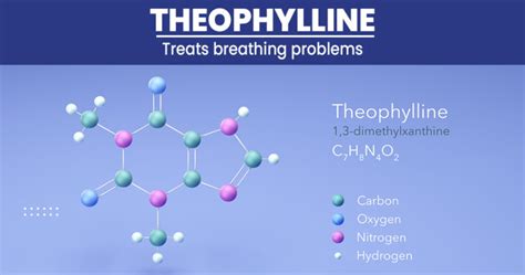 Theophylline - Uses, Side Effects, And Best Treatment 2022