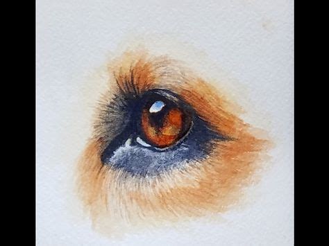 How to Paint a Realistic Dog Eye in Watercolor - YouTube | Động vật, Vật