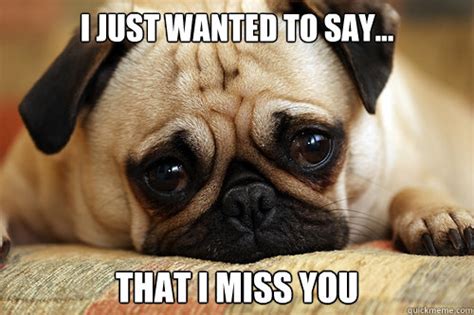 sad pug memes | quickmeme