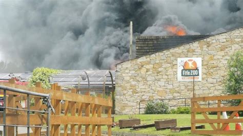 Firefighters tackle blaze at Fife Zoo - BBC News